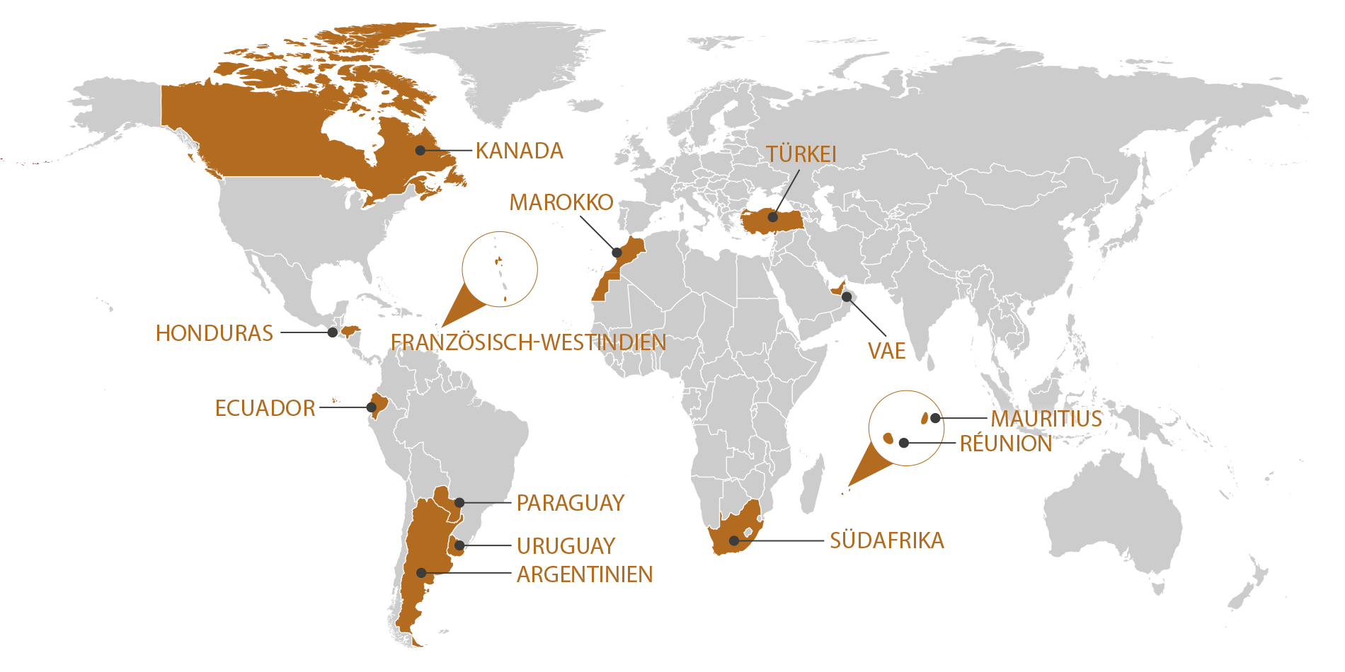 RGIS_FRANCHISE_WORLD_DE_1125. RGIS Franchise